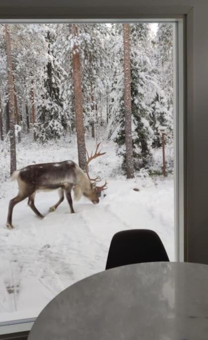 Arctic Circle Guesthouse Rovaniemi Bagian luar foto