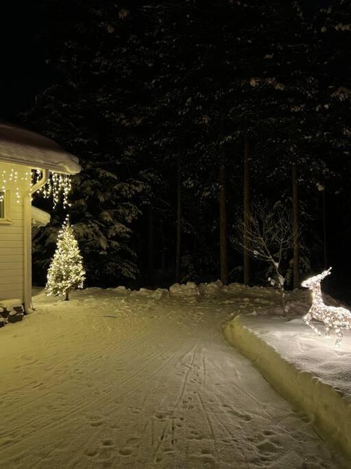 Arctic Circle Guesthouse Rovaniemi Bagian luar foto